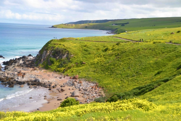 Zdjęcie z Australii - Brzegi Encounter Bay