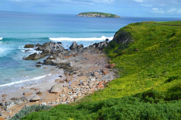 Zdjęcie z Australii - Petrel Cove