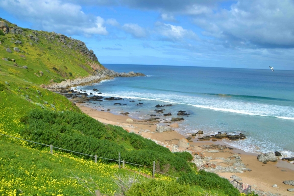 Zdjęcie z Australii - Zatoczka Petrel Cove