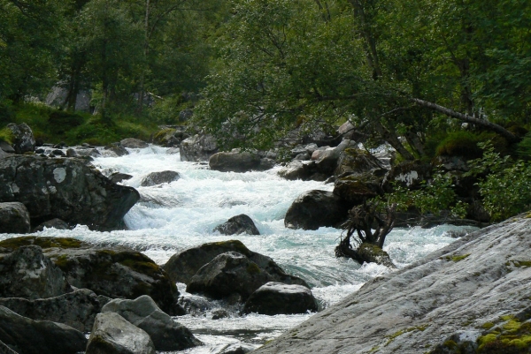 Zdjęcie z Norwegii - 