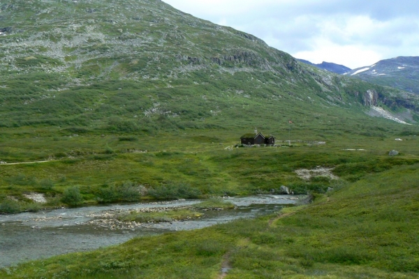 Zdjęcie z Norwegii - 