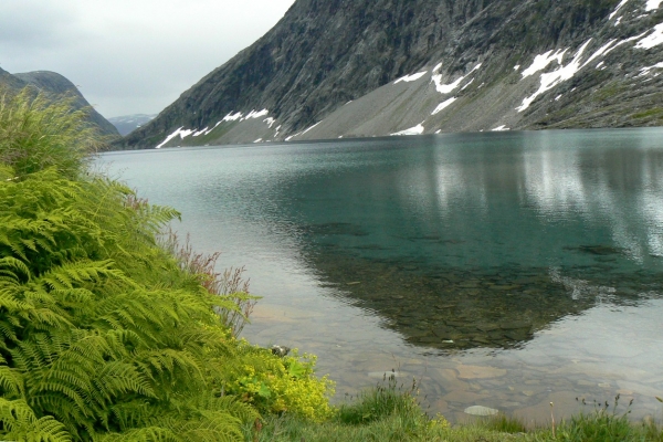 Zdjęcie z Norwegii - 