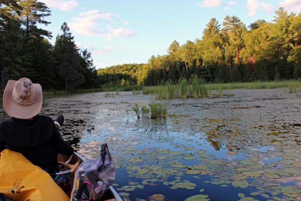 Zdjęcie z Kanady - Na jeziorze Eel Lake