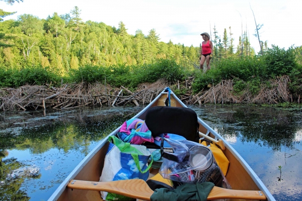 Zdjecie - Kanada - Kawartha Highlands