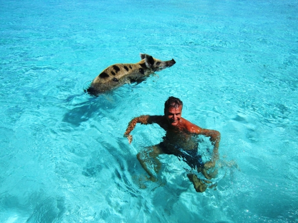 Zdjęcie z Bahamów - Exuma