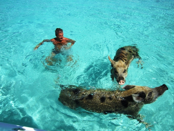 Zdjęcie z Bahamów - Exuma