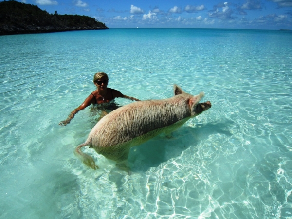 Zdjęcie z Bahamów - Exuma