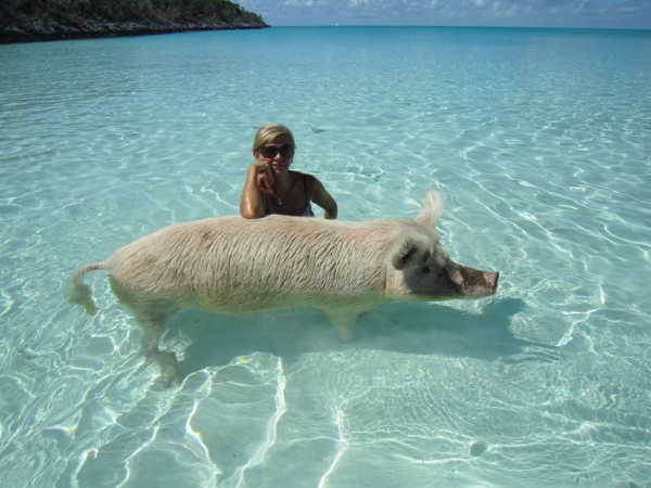 Zdjęcie z Bahamów - Exuma