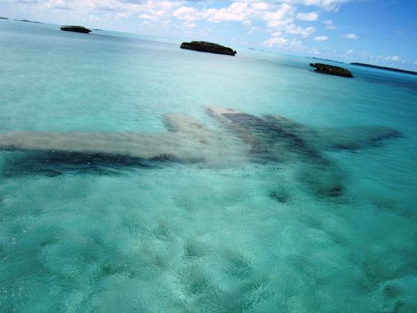 Zdjęcie z Bahamów - Exuma-wrak samolotu 