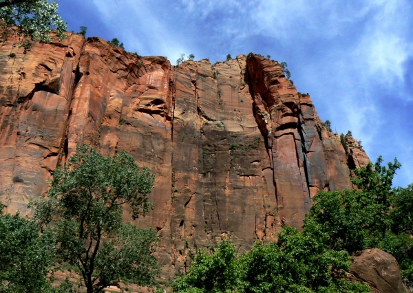 Zdjęcie ze Stanów Zjednoczonych - Zion N.P.