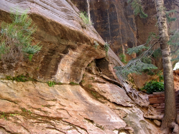 Zdjęcie ze Stanów Zjednoczonych - Zion N.P.
