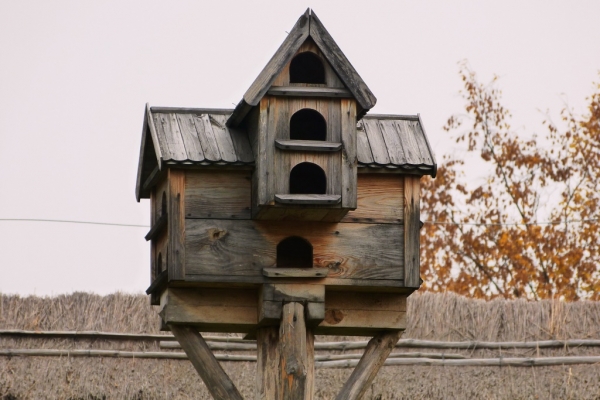 Zdjęcie z Polski - gołębnik