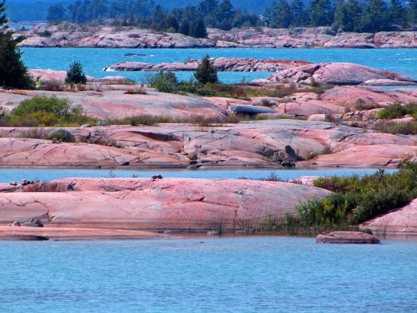 Zdjęcie z Kanady - Wyspa Jill Island