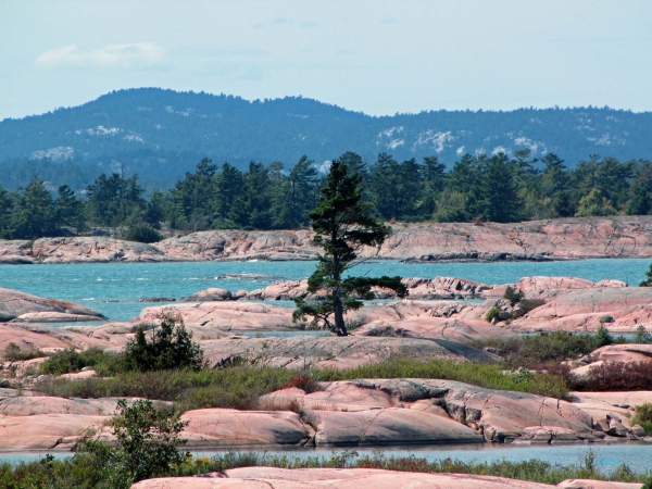 Zdjęcie z Kanady - Wyspa Jill Island