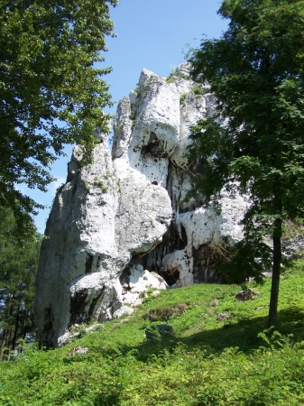 Zdjęcie z Polski - Skałki - Góra Birów