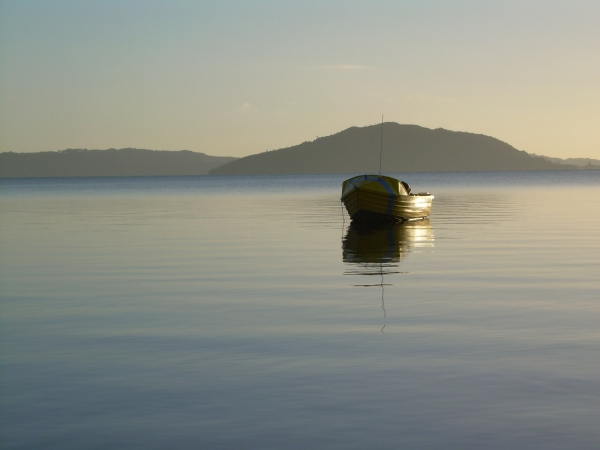 Zdjęcie z Nowej Zelandii - Poranek w Rotorua