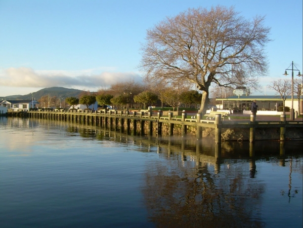 Zdjęcie z Nowej Zelandii - Poranek w Rotorua