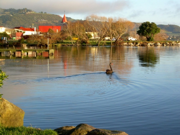 Zdjęcie z Nowej Zelandii - Poranek w Rotorua