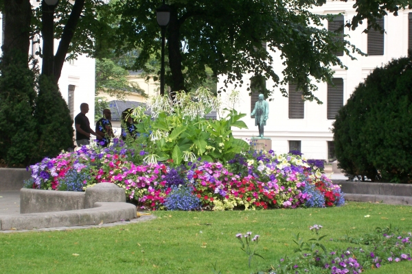 Zdjęcie z Norwegii - Oslo