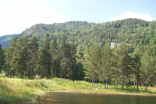 Zdjęcie z Norwegii - Dalen