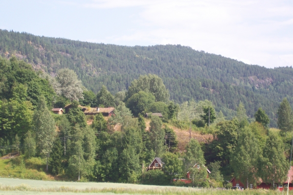 Zdjęcie z Norwegii - Heddal