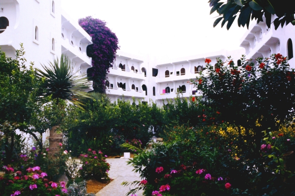 Zdjęcie z Grecji - Kreta