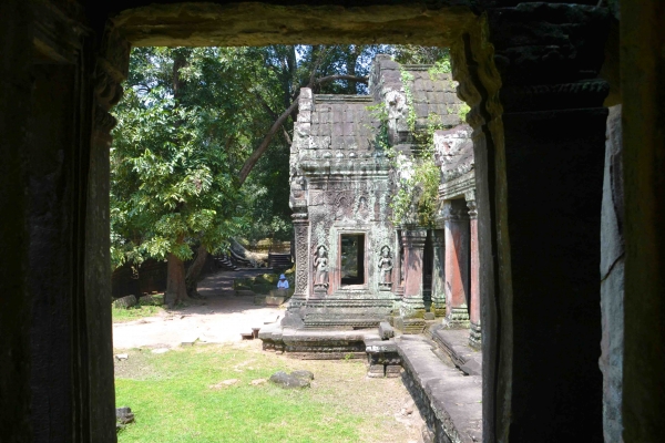 Zdjęcie z Kambodży - Ta Prohm