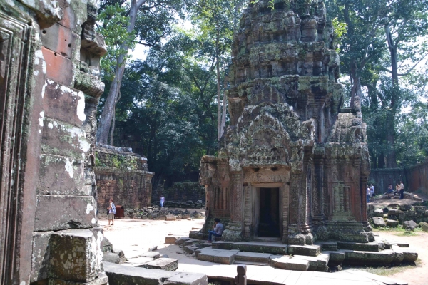 Zdjęcie z Kambodży - Ta Prohm