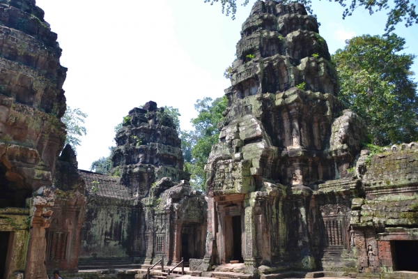 Zdjęcie z Kambodży - Ta Prohm