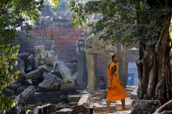 Zdjęcie z Kambodży - Ta Prohm