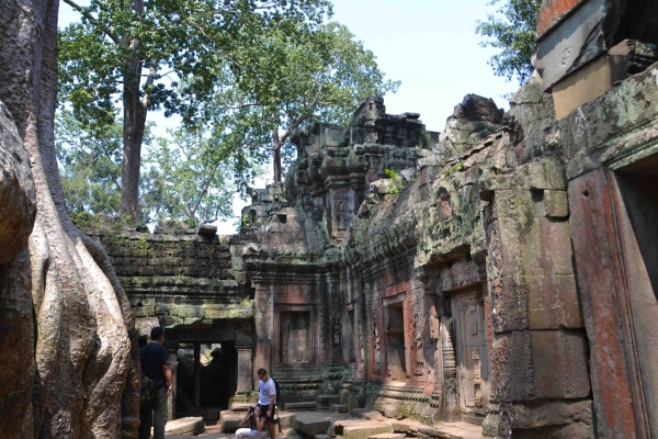 Zdjęcie z Kambodży - Ta Prohm