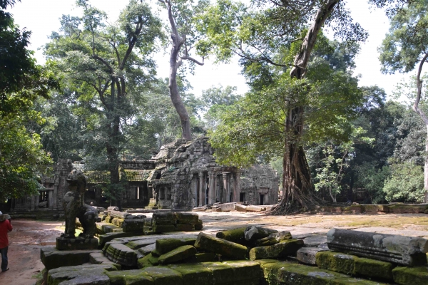 Zdjęcie z Kambodży - Ta Prohm