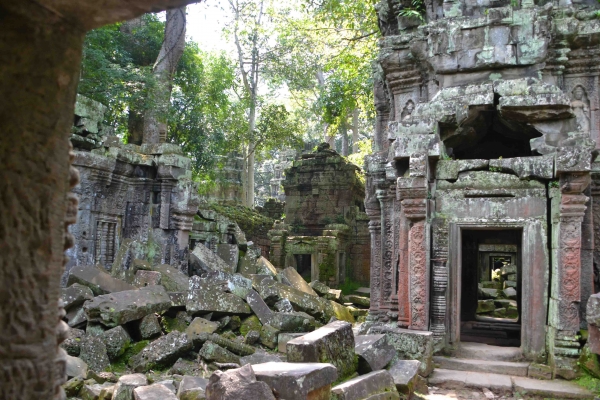 Zdjęcie z Kambodży - Ta Prohm