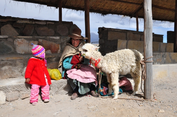 Zdjęcie z Peru - 