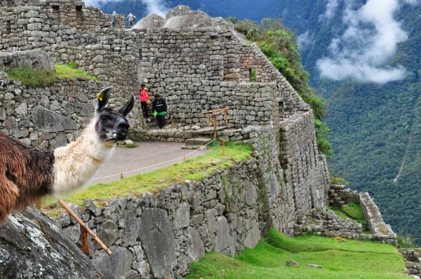 Zdjęcie z Peru - Machu Picchu