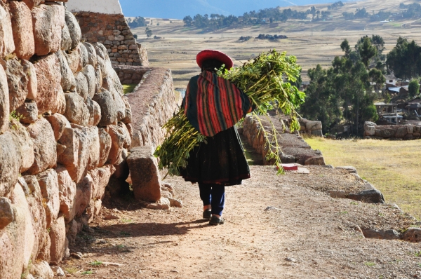 Zdjęcie z Peru - 