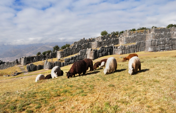 Zdjęcie z Peru - Sacsayhuaman