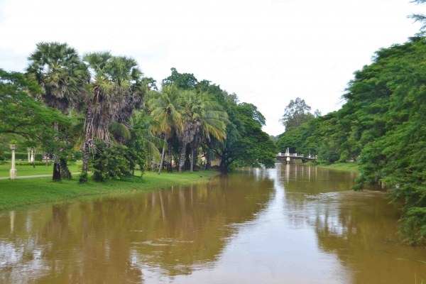 Zdjęcie z Kambodży - Rzeka Siem Reap River