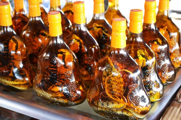 Zdjęcie z Kambodży - Cobra Whisky - w kazdej butelce znajduje sie zdechla kobra i skorpion. Smacznego :(