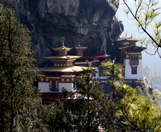 Zdjęcie z Bhutanu - Tiger