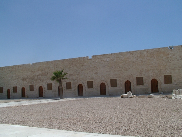 Zdjecie - Egipt - Nuweiba- Kair- Aleksandria- Góra Mojżesza