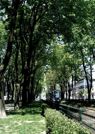 Zdjęcie z Polski - Planty