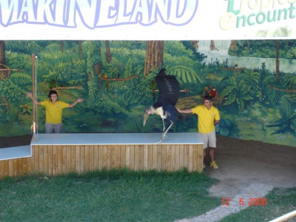 Zdjęcie z Hiszpanii - Marineland