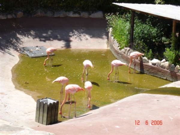 Zdjęcie z Hiszpanii - Marineland