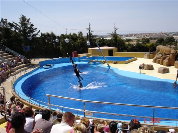 Zdjęcie z Hiszpanii - Marineland