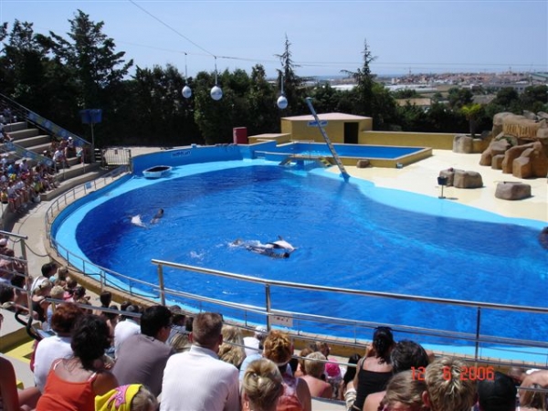 Zdjęcie z Hiszpanii - Marineland