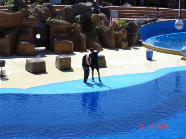 Zdjęcie z Hiszpanii - Marineland