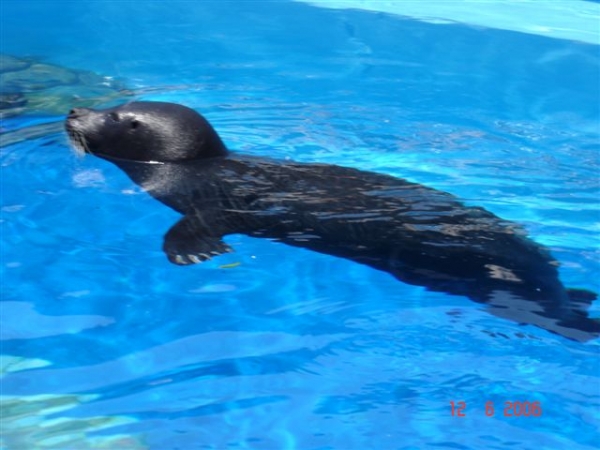 Zdjęcie z Hiszpanii - Marineland