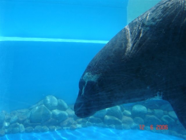 Zdjęcie z Hiszpanii - Marineland