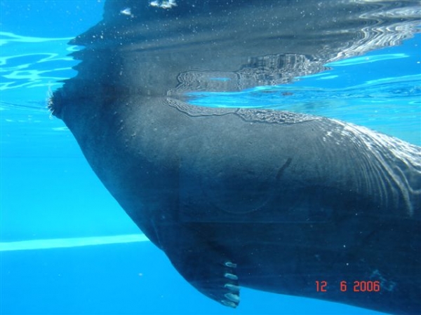 Zdjęcie z Hiszpanii - Marineland